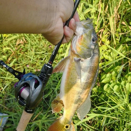 Four Seasons  Baitcast Reel